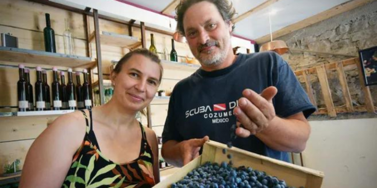 Pourquoi les myrtilles du Trimoulet à Boussac-Bourg (Creuse) ont un petit goût d&rsquo;Argentine ?